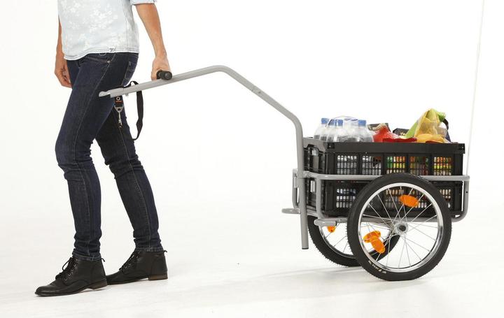 Actual product image Fischer Profi Plus