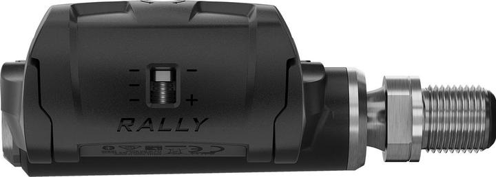 Actual product image Garmin Rally RK 200