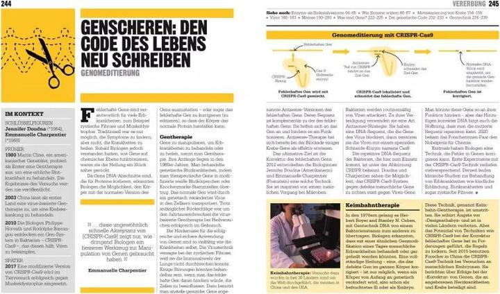 Produktbild Big Ideas. Das Biologie-Buch (Deutsch, Robert Snedden, Robert Dinwiddie, Tom Jackson, Judith Rauch, Tim Harris, Mary Argent-Katwala, Derek Harvey, John Farndon, Steve Parker, Michael Bright, Gretel Guest, Martin Kliche, 2022)