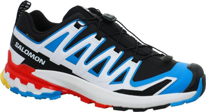 Produktbild Salomon Outdoorschuh Schuhe XA PRO 3D V9 GTX Black/ (44)