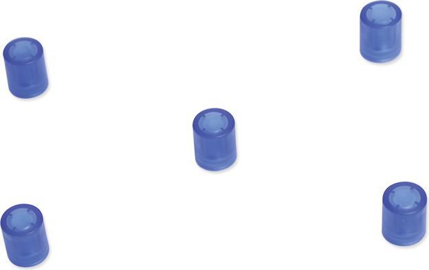 Image du produit Supermagnete Plots magnétiques cylindriques, bleu transparent (5 x)