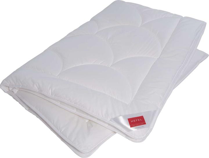 Image du produit Hefel Tencel Edition 101 (2470 g, 160 x 210 cm)