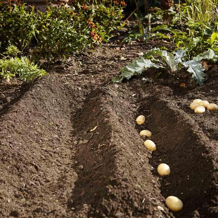 Immagine prodotto Gardena Gardino