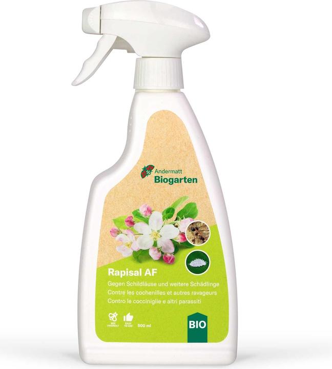 Produktbild Andermatt Biogarten Rapisal AF (Schildläuse, Birnblattsauger, Spinnmilben, Buchsbaumblattfloh, Thripse, Zykaden, Weissen Fliegen, Blattläuse)