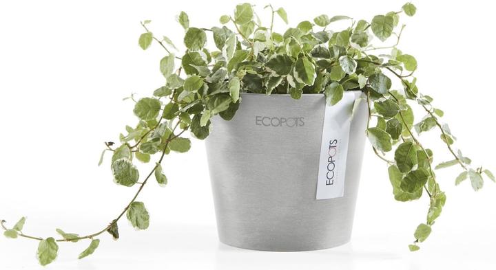 Produktbild Ecopots Amsterdam Mini (10.50 cm)