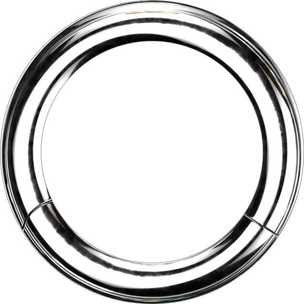 Actual product image Star Piercing Segment ring hinged silver (without brass, Surgical steel 316L)