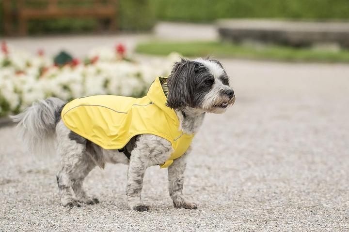 Produktbild Chiara Scotty (L, Hundemantel)