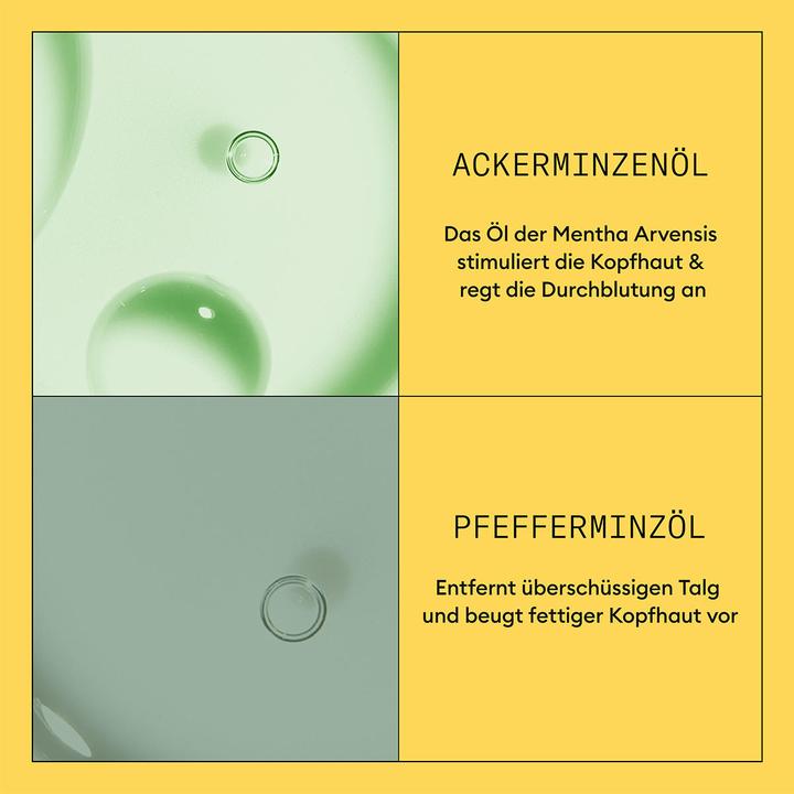 Image du produit Nioxin Conditionneur System 1 (300 ml)
