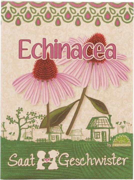 Saatgeschwister Minigarten Echinacea (Blumensamen)