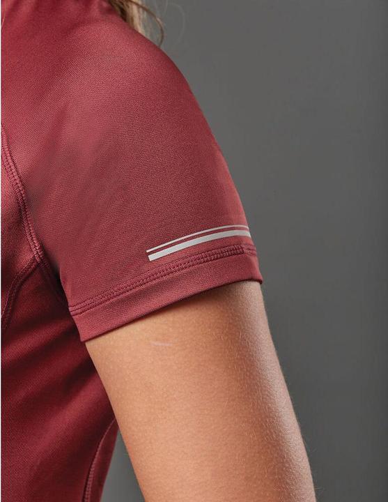 Actual product image Weatherbeeta Victoria Premium (XS)