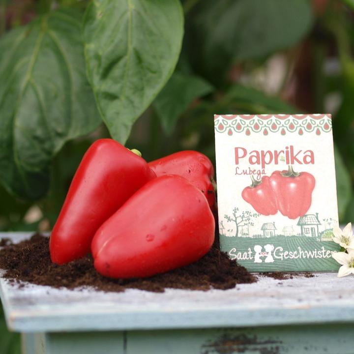 Immagine prodotto Saatgeschwister Mini peperoni da giardino (rossi) (Semi di verdura)