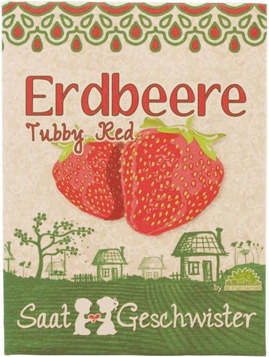 Saatgeschwister Minigarten Erdbeere (rot) (Früchtesamen)