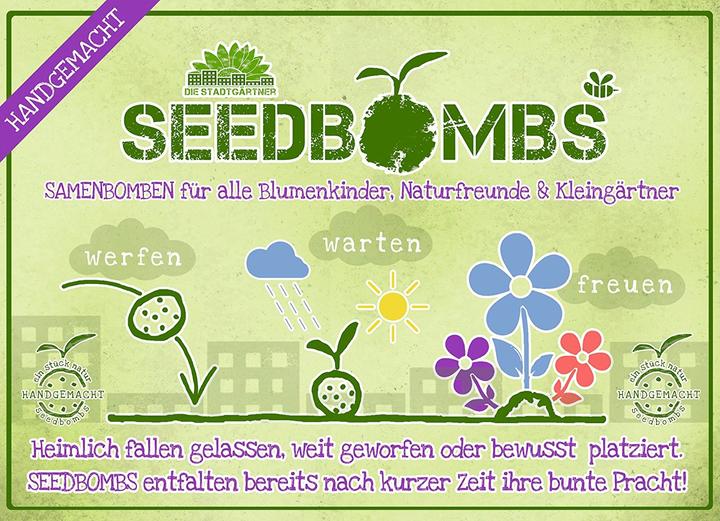 Image du produit Die Stadtgärtner Bombes de graines de tournesol (Germe de bombe)
