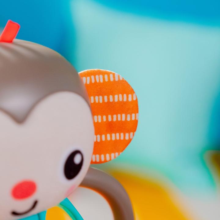 Immagine prodotto Bright Starts Grab n' Shake Monkey Oball