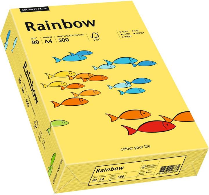 Immagine prodotto Papyrus Rainbow (80 g/m², 500 x, A4)