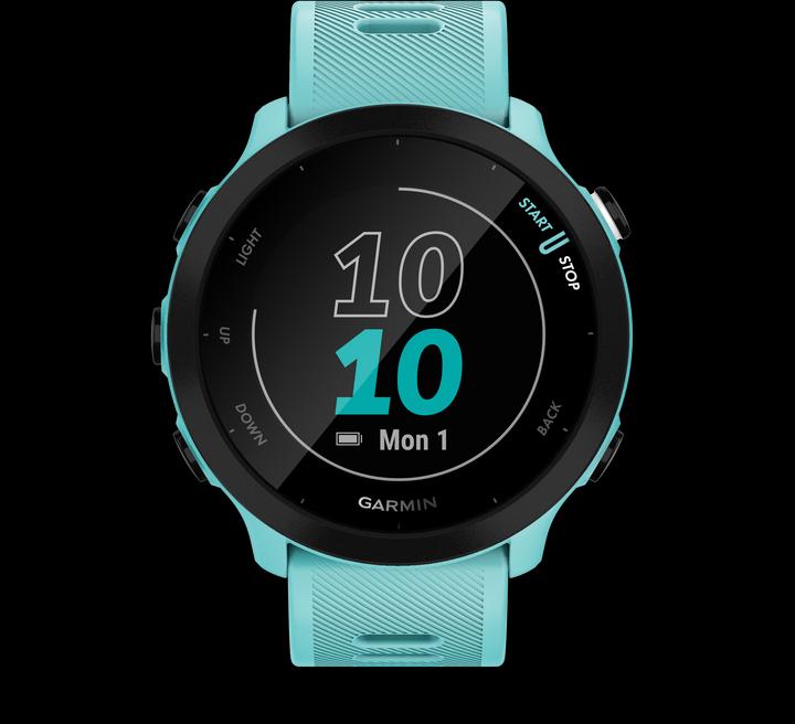 Produktbild Garmin Forerunner 55 (42 mm)