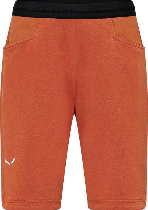 Image du produit Salewa Agner Hemp Shorts M (XL)