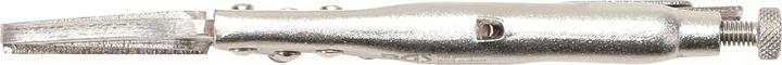 Image du produit BGS Pinces étau longs becs 170 mm (170 mm)