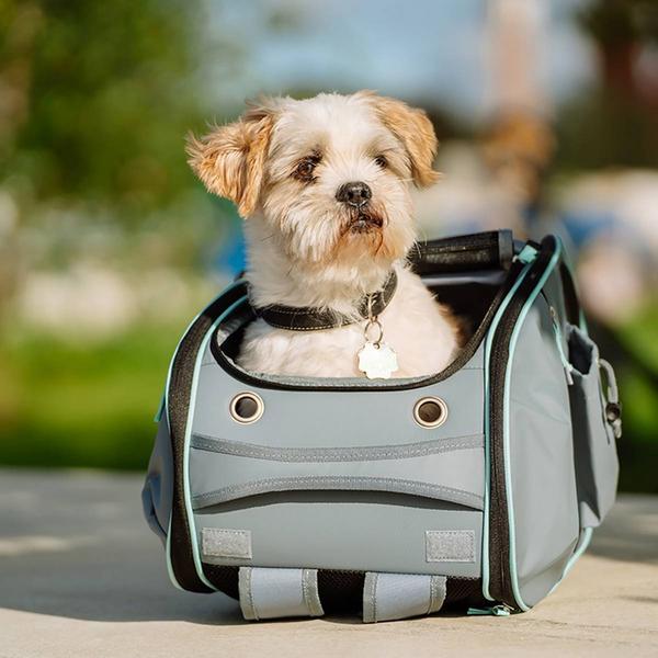 Image du produit Nobby Sac à dos pour transport d'animaux Nomad, gris (Chien, Chat, Respirant)