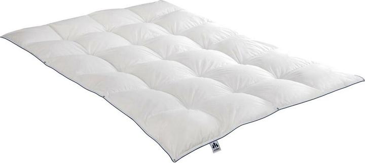 Actual product image Irisette Down comforter Laura warm, filling: 100% goose down (820 g, 135x200 cm)