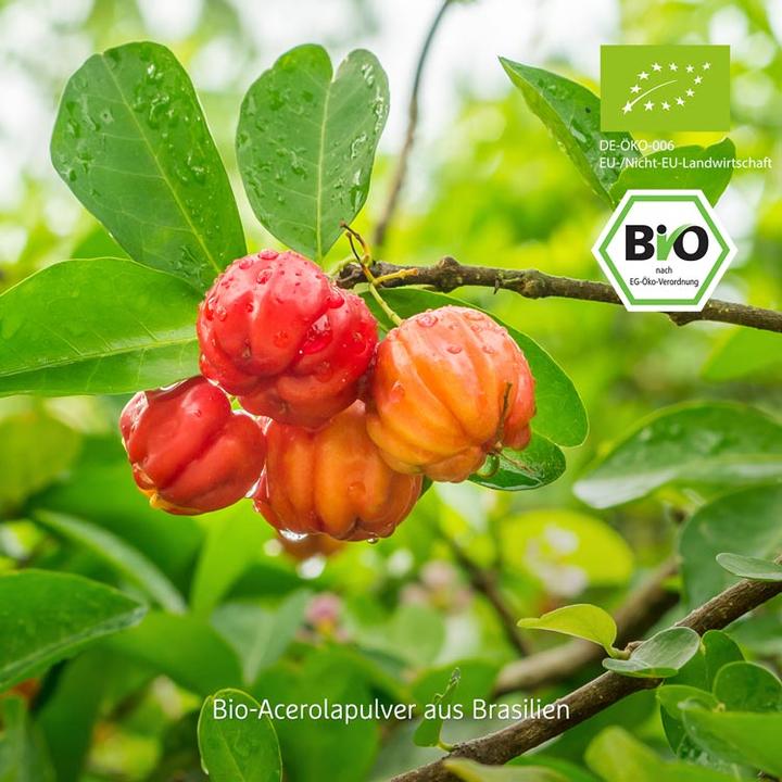 Immagine prodotto Effective Nature Acerola in polvere (1 Pezzo/i, Polvere, 200 g)