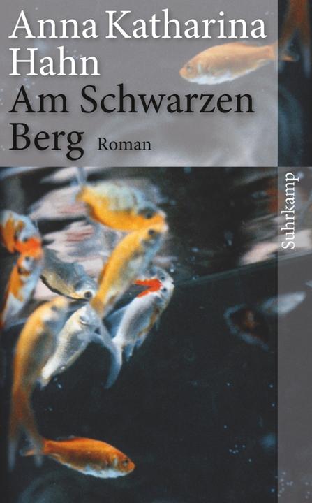 Produktbild Am Schwarzen Berg (Deutsch, Anna Katharina Hahn, 2013)
