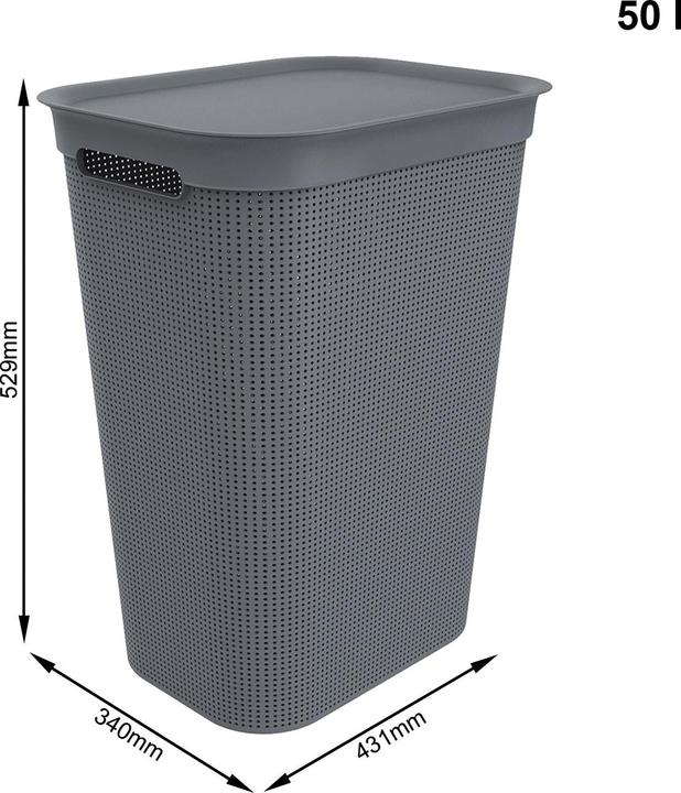Actual product image Rotho Brisen (50 l)