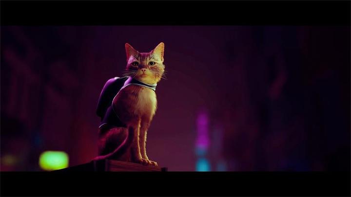 Actual product image BlueTwelve Studio Stray (PS4, DE)