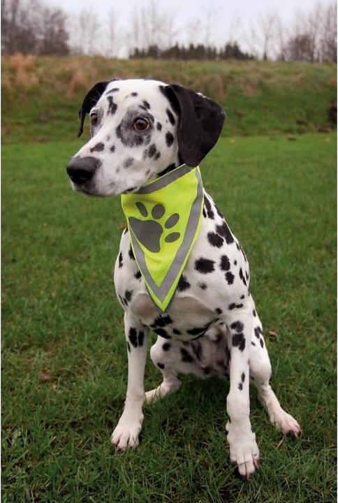 Produktbild Trixie Safer Life Halstuch (XS, S, Hundehalstuch)