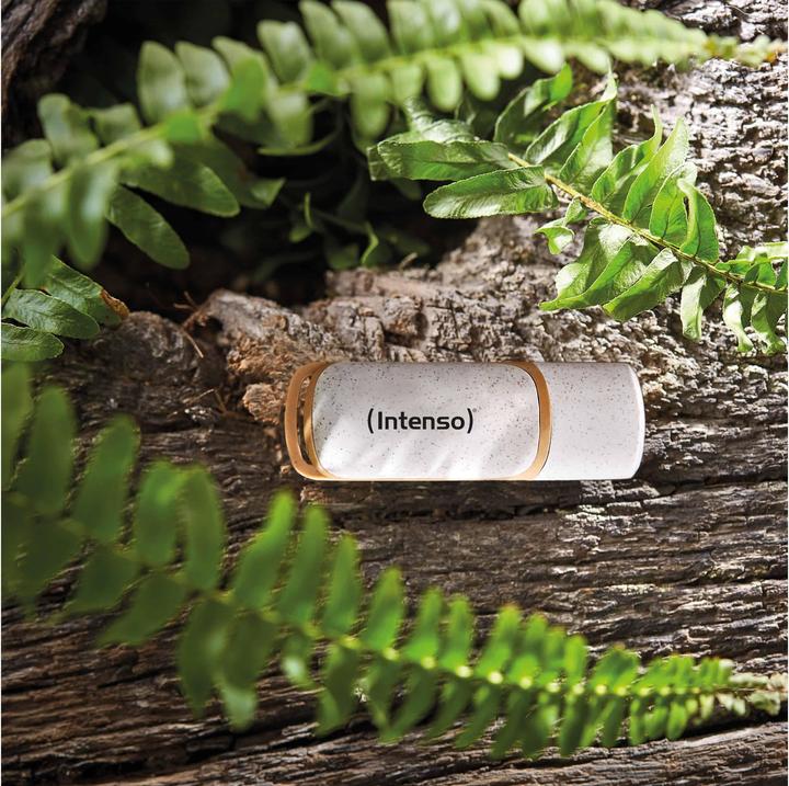 Produktbild Intenso Green Line (128 GB, USB 3.2)