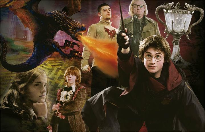 Actual product image Educa 1000 Harry Potter Miniature Puzzle 2 (1000 pieces)