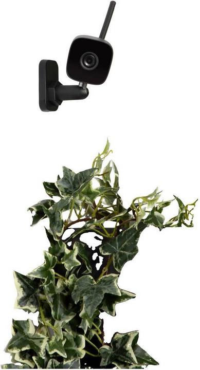 Image du produit Smartwares Caméra extérieure Homewizard (1920 x 1080 Pixels)