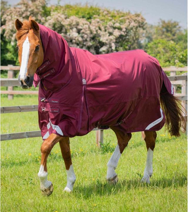 Immagine prodotto Premier Equine Buster Storm Classic 90 g (213 cm)