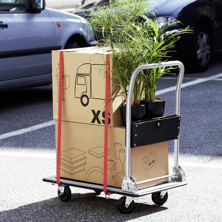 Actual product image Meister Platform trolley (150 kg)