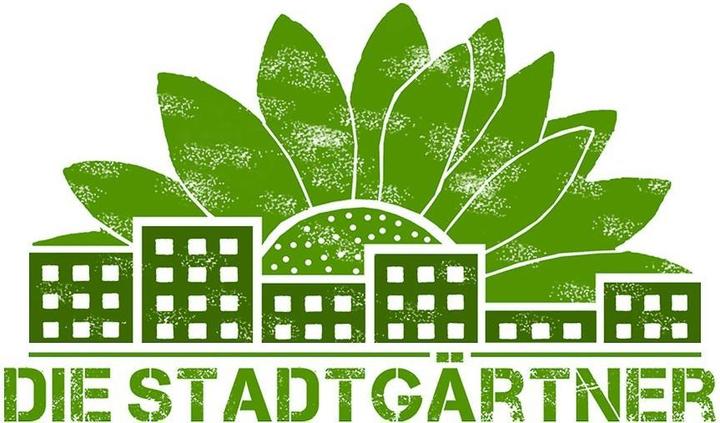 Image du produit Die Stadtgärtner Bombes de graines de tournesol (Germe de bombe)