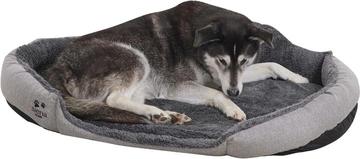 Immagine prodotto Siena Home Cestino per cani (Cane)