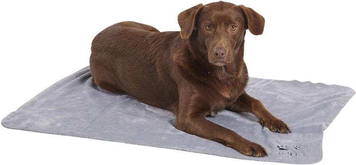 Actual product image Siena Home Fleece blanket (Dog)