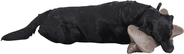 Produktbild Siena Home Auflage (45 x 45 cm)