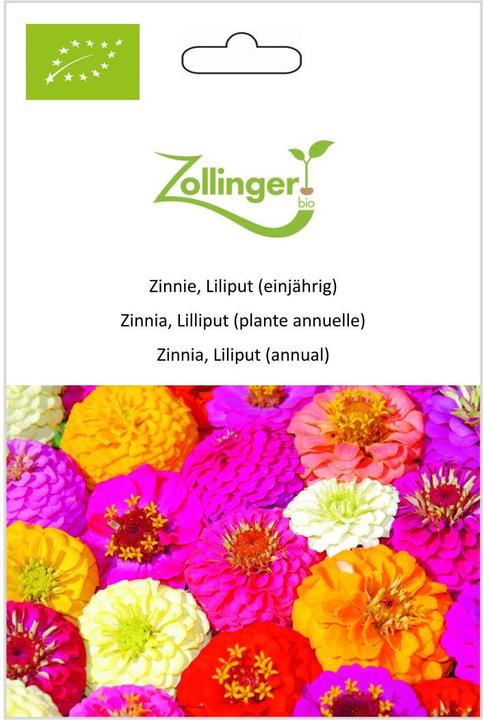 Actual product image Zollinger Bio Zinnia, Lilliput (annual) (Bulbous plant)