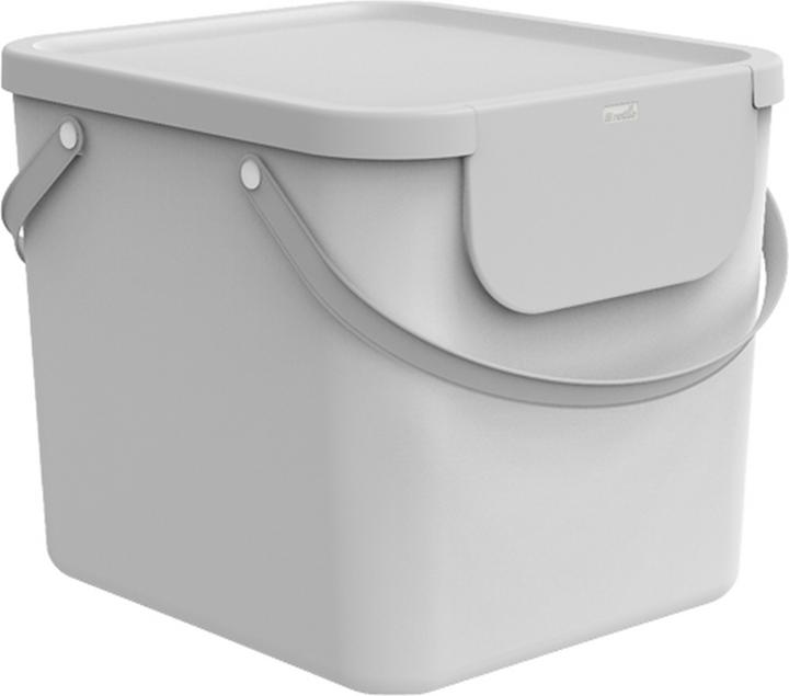 Vischio bianco