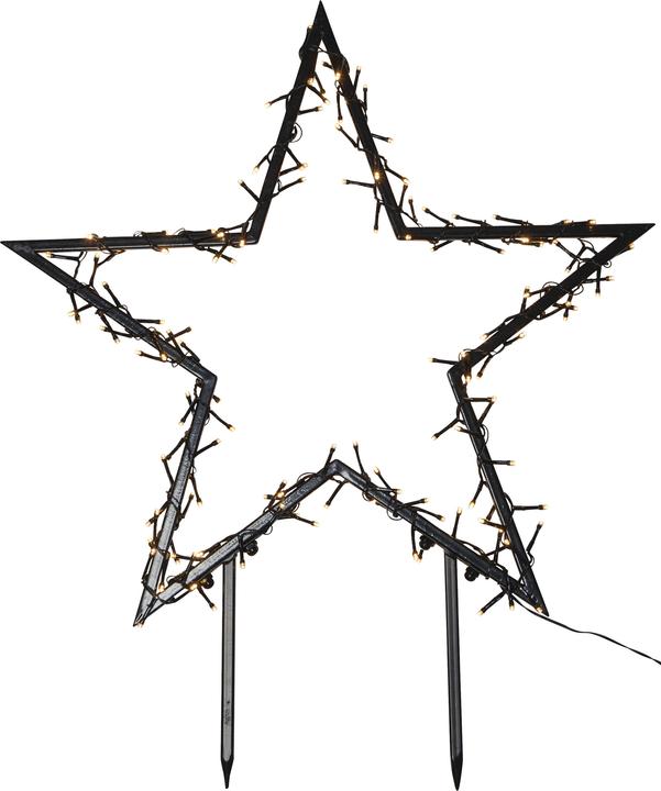 Image du produit Star Trading Étoile Spiky