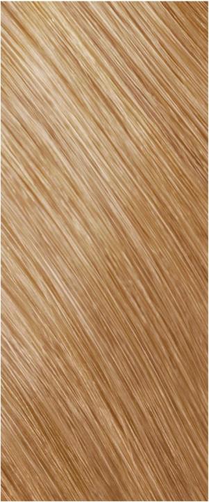 Image du produit Goldwell Topchic Zero - 8G blond doré clair (8G - blond doré)