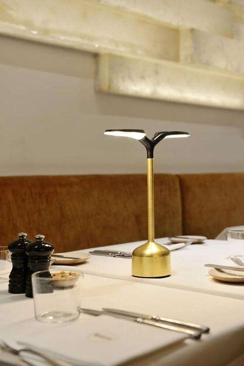 Actual product image ImagiLights Grand Cru wireless lamp, without remote control and charger (100 lm)