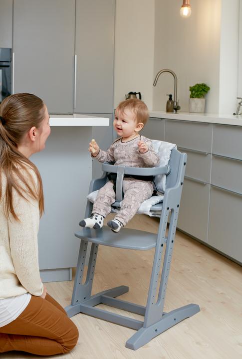 Actual product image Baby Dan DanChair Traditional High Chair Hard Seat Grey (Highchair)
