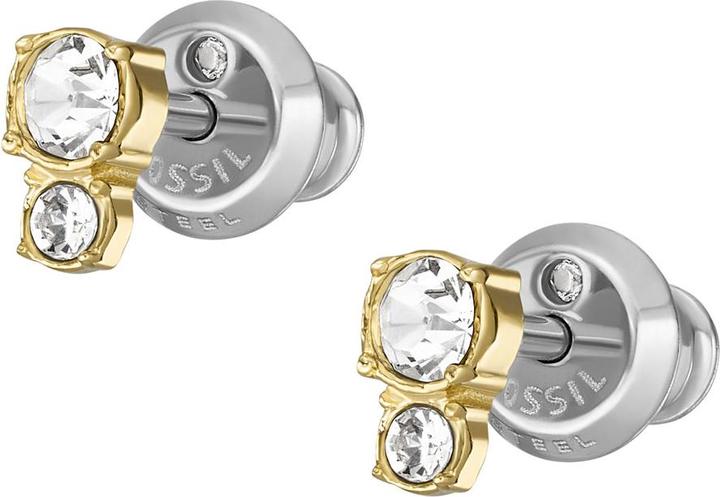 Actual product image Fossil Jewelry Stud Earrings (Stainless steel)