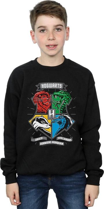 Immagine prodotto Hogwarts Toon Crest Felpa Ragazzi (152, 158)