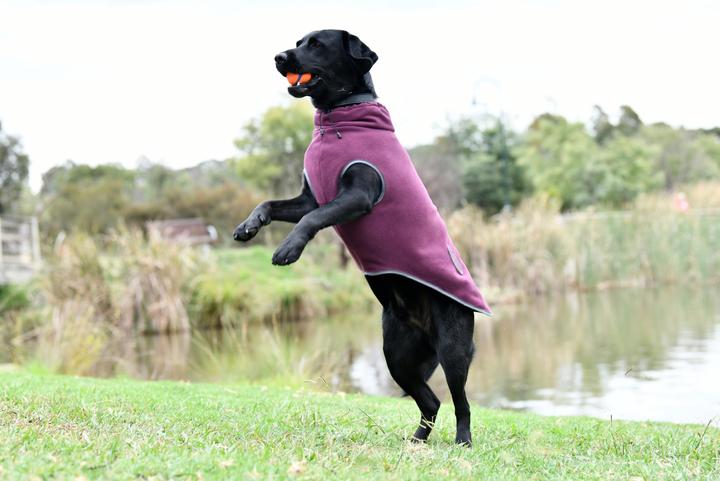 Produktbild Weatherbeeta Comfitec (35, Hundemantel)
