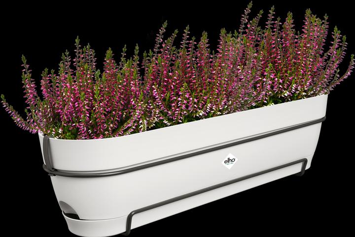 Produktbild Elho Vibia Campana Allin1 (26 cm)