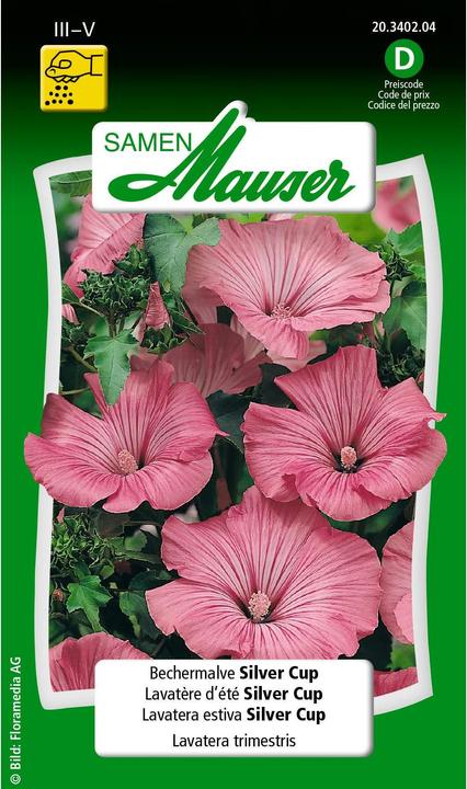 Produktbild Samen Mauser Bechermalve Silver Cup (Pflanzensamen)