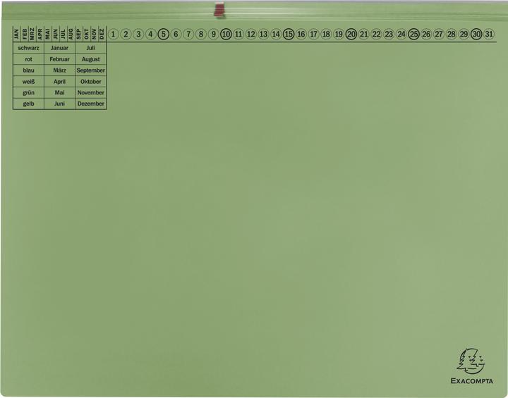 Actual product image Exacompta 25 hanging files Exaflex cardboard green 1 x commercial stapling (25 x)